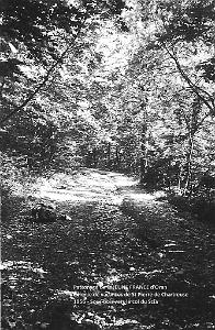 COLO JEUNE FRANCE 1956 sous bois vers le col du Coq